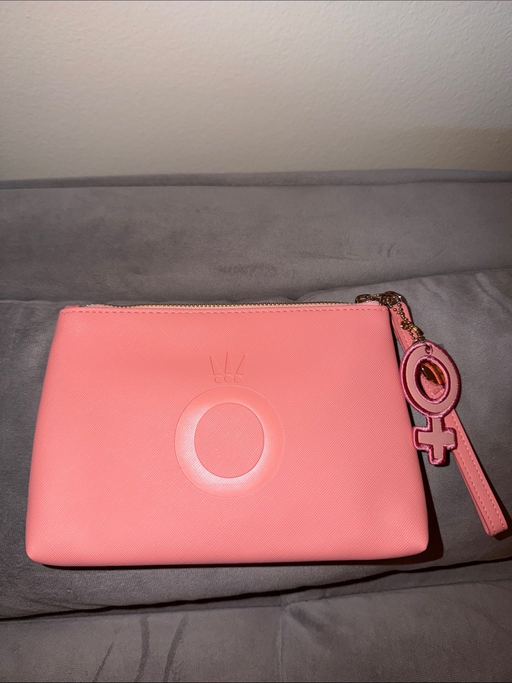 Pandora Pink Women’s Zip Pouch Clutch